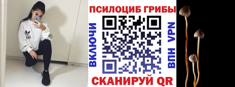 Псилоцибиновые грибы прущие грибы  купить закладку  Братск 